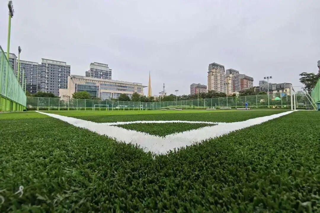 泰达这一足球场升级！即将对外开放！